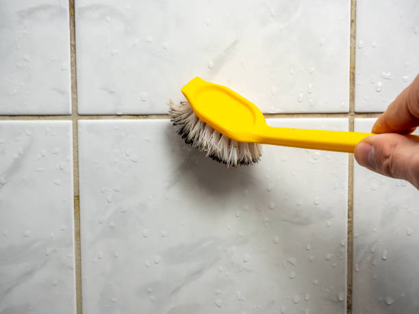 Best Black Mold Remediation in Prieton, NC